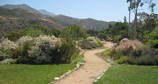 The path at Meditation Mount